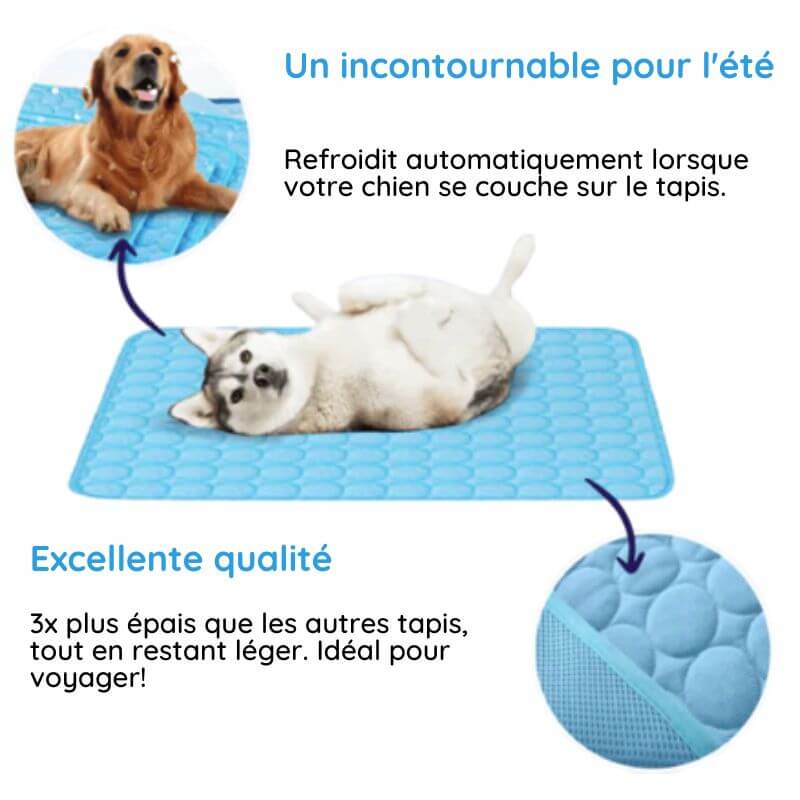 MrFluffyFriend - Les Meilleures Couvertures Rafraîchissantes Pour Chiens