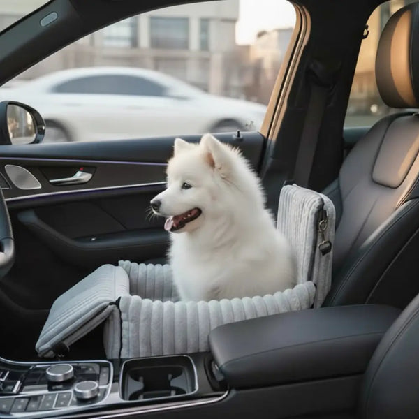 Rends chaque trajet en voiture sûr et confortable pour ton chien
