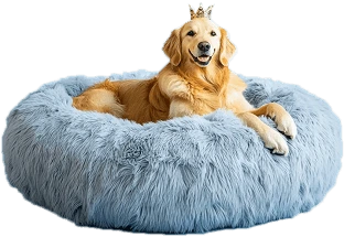 Dog resting on a fluffy pet bed
